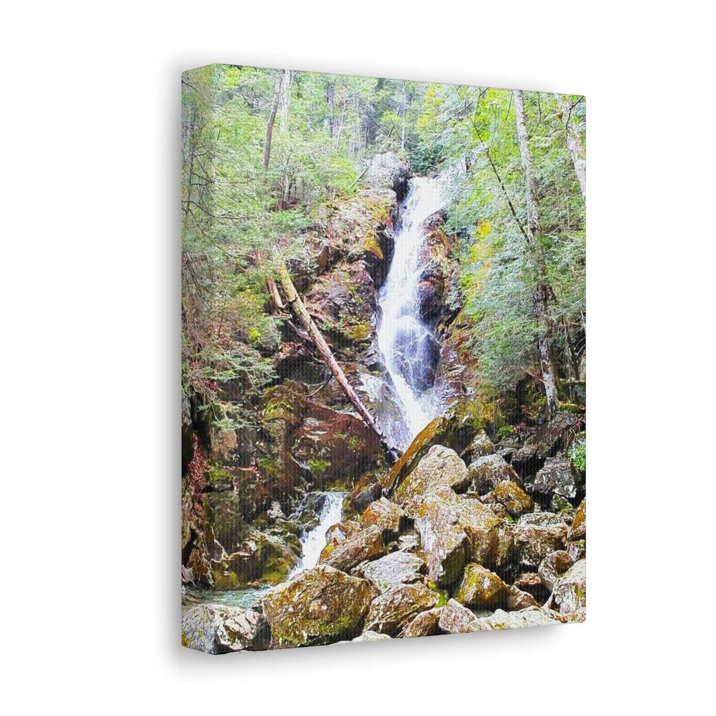 Canvas Artwork Print, Nature Photography