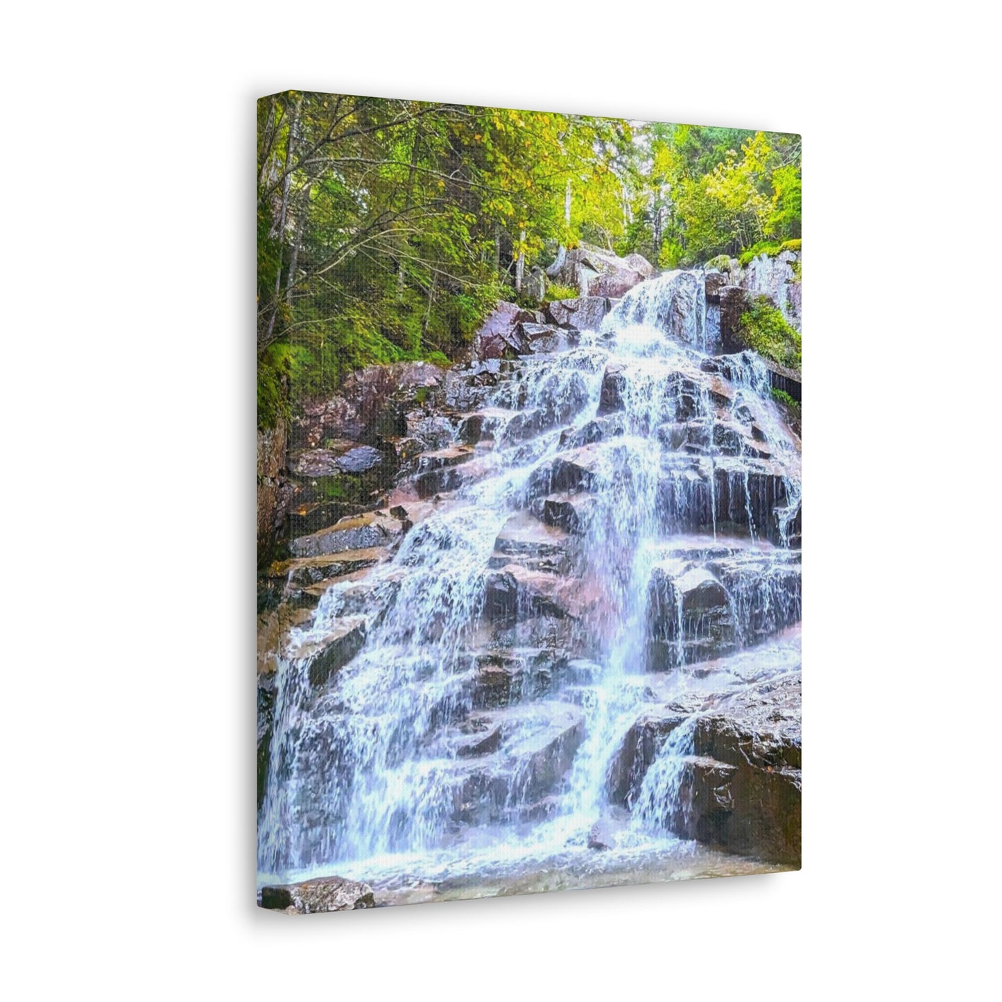 Cloudland Falls Canvas Art Print