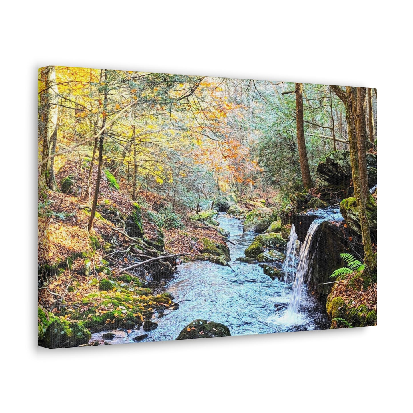 Sage's Ravine Canvas Art Print