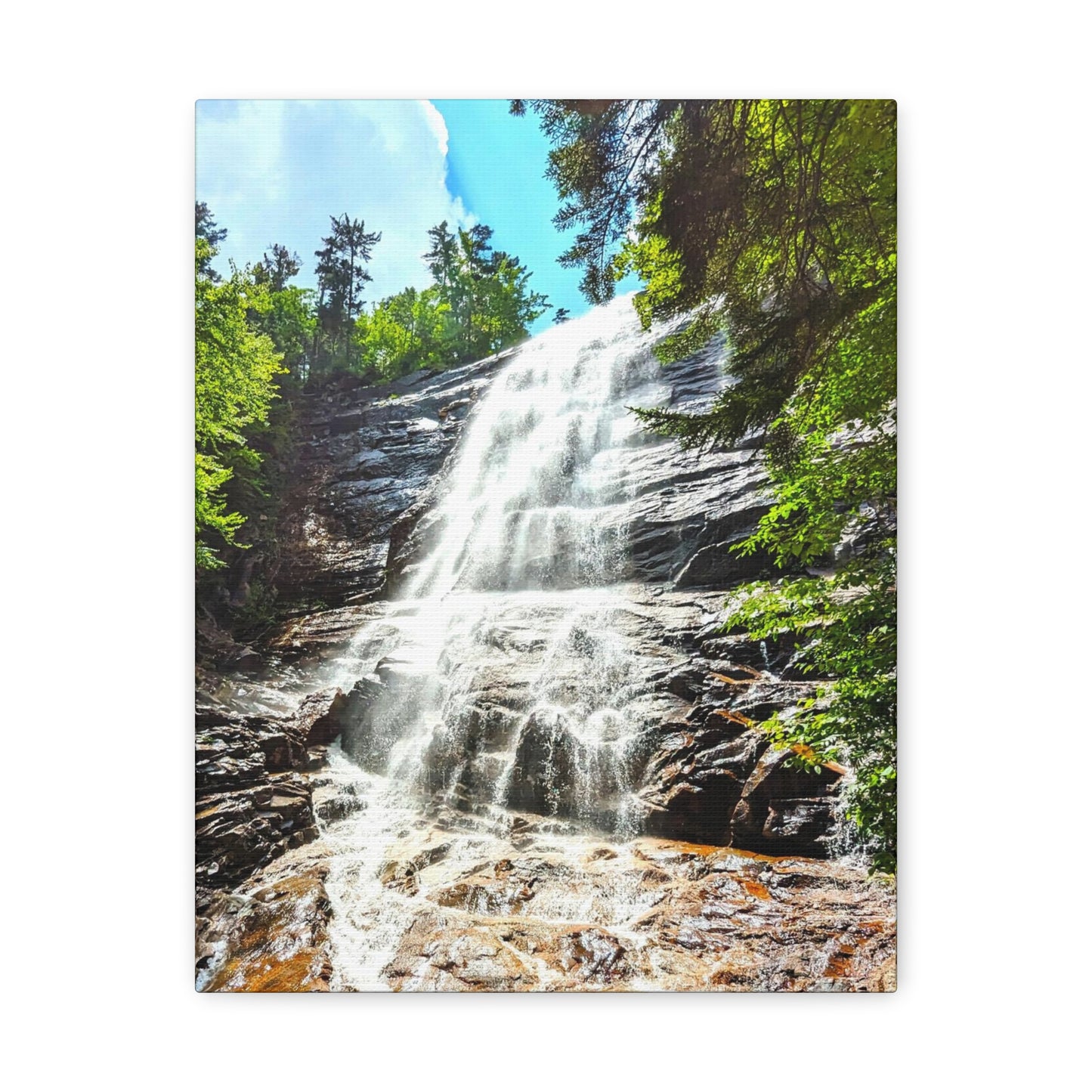 Arethusa Falls Canvas Art Print