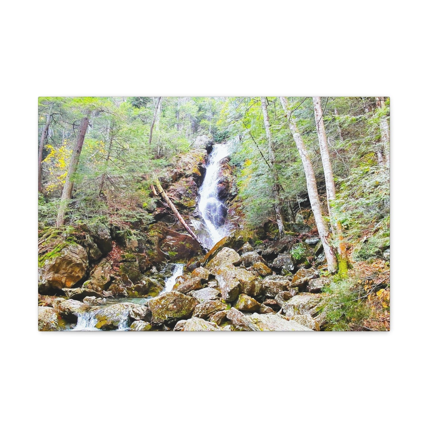 Race Brook Falls Canvas Art Print