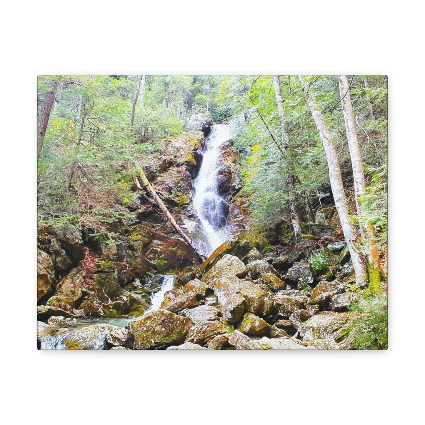 Race Brook Falls Canvas Art Print