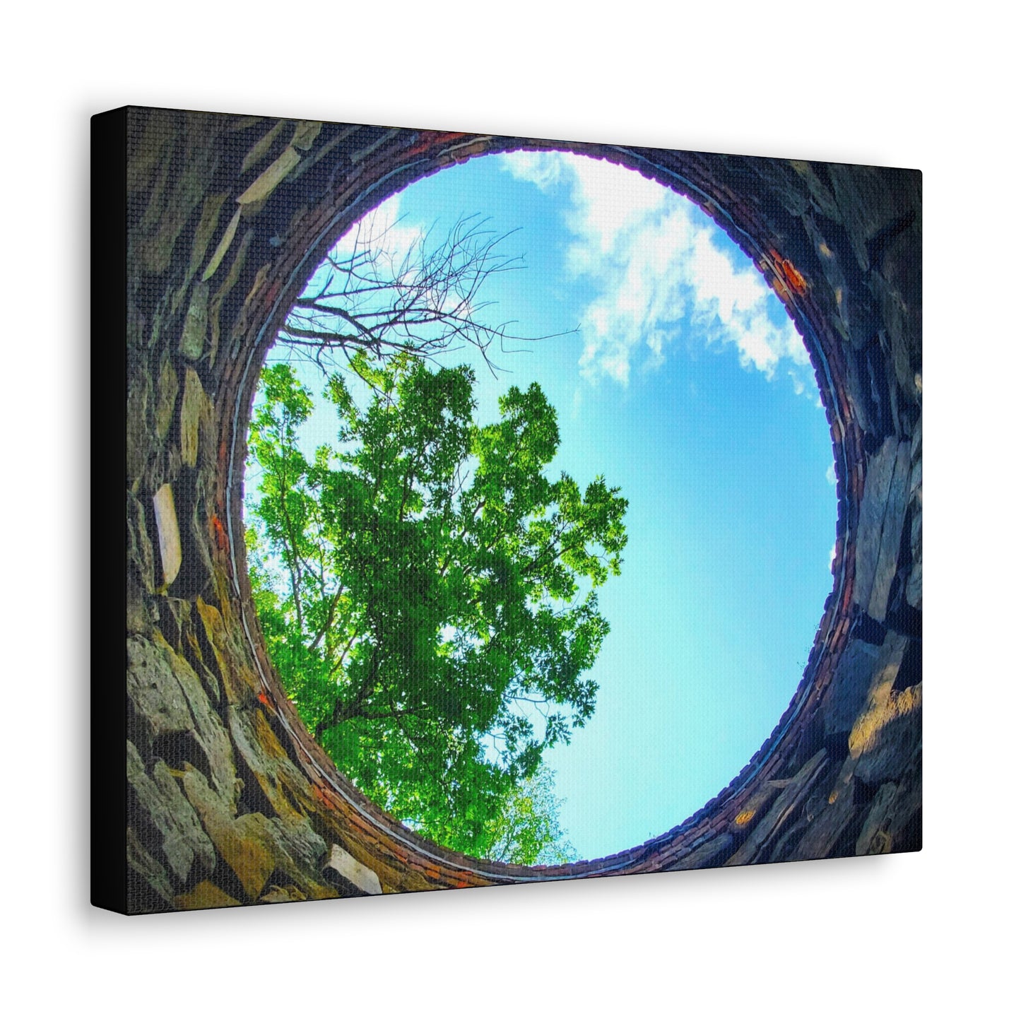 Canvas Artwork Print, Nature Photography