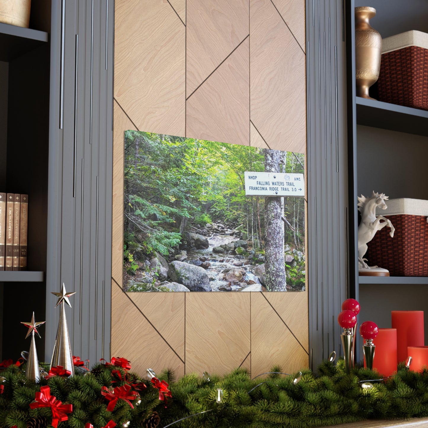 Falling Waters Trail Canvas Art Print