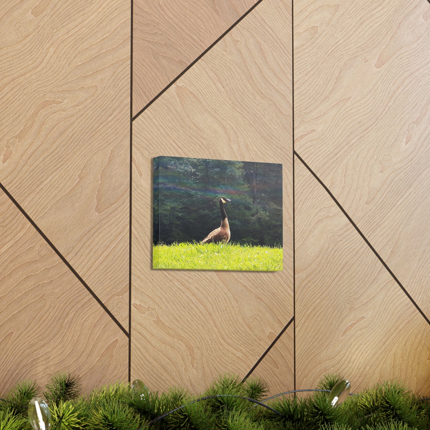 Canadian Goose Canvas Art Print