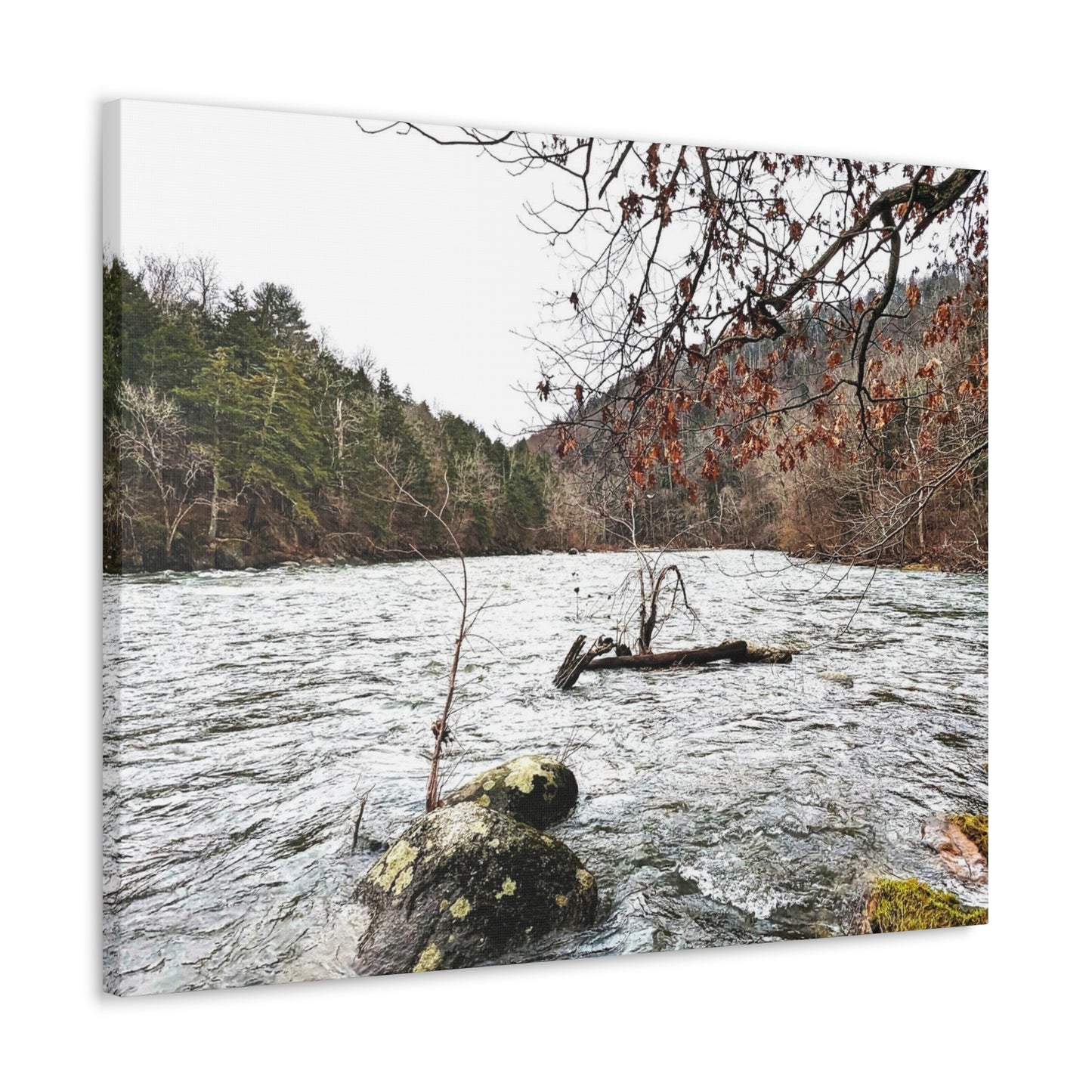 Houstatonic and Tenmile River Canvas Art Print