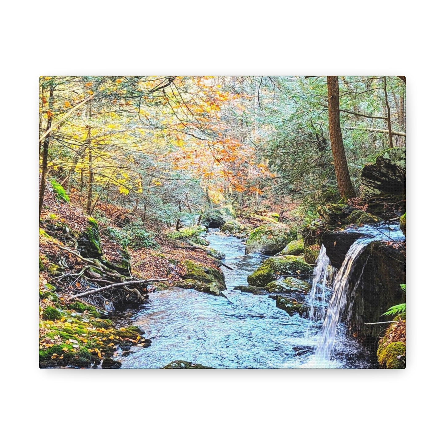 Sage's Ravine Canvas Art Print