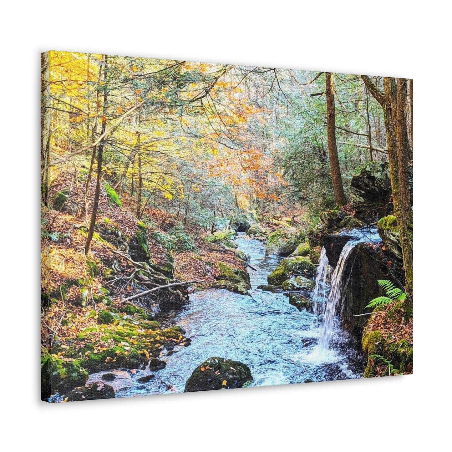 Sage's Ravine Canvas Art Print