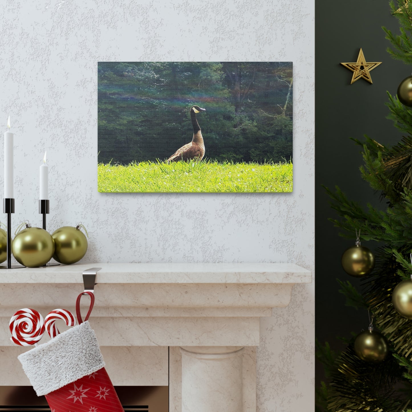 Canadian Goose Canvas Art Print