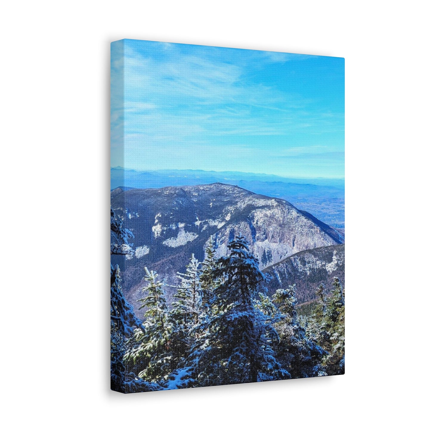 Alpine Zone- Canvas Art Print