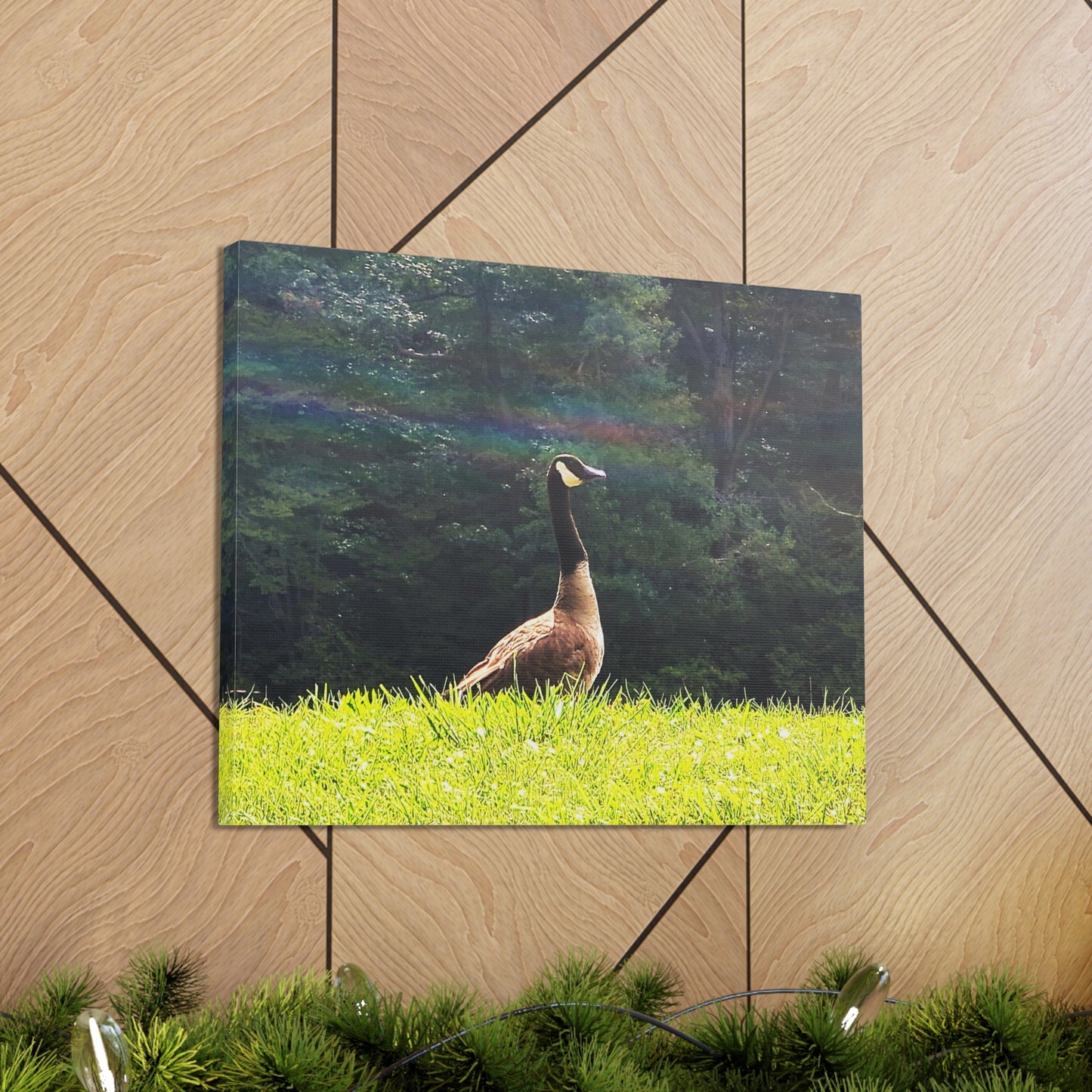 Canadian Goose Canvas Art Print