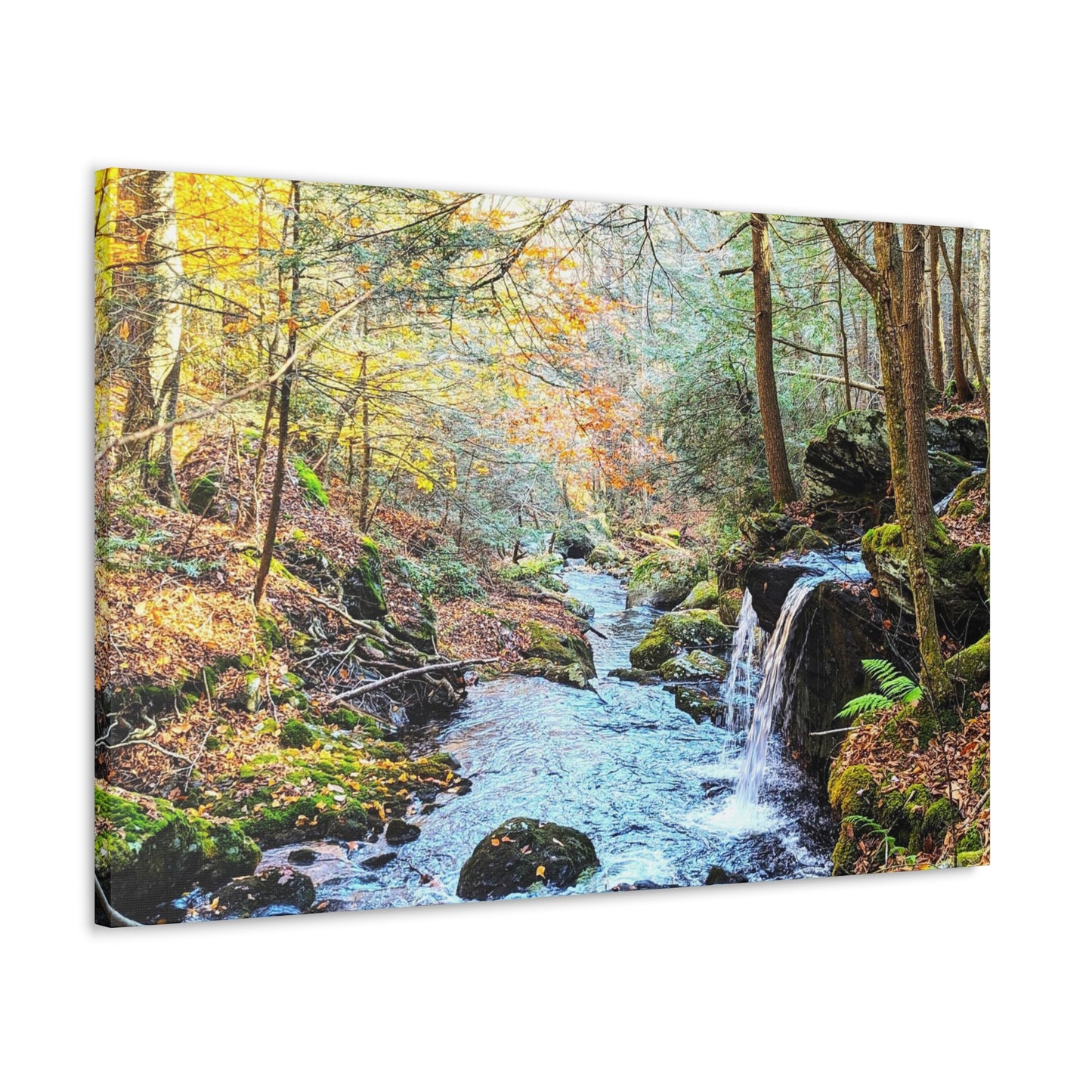 Sage's Ravine Canvas Art Print