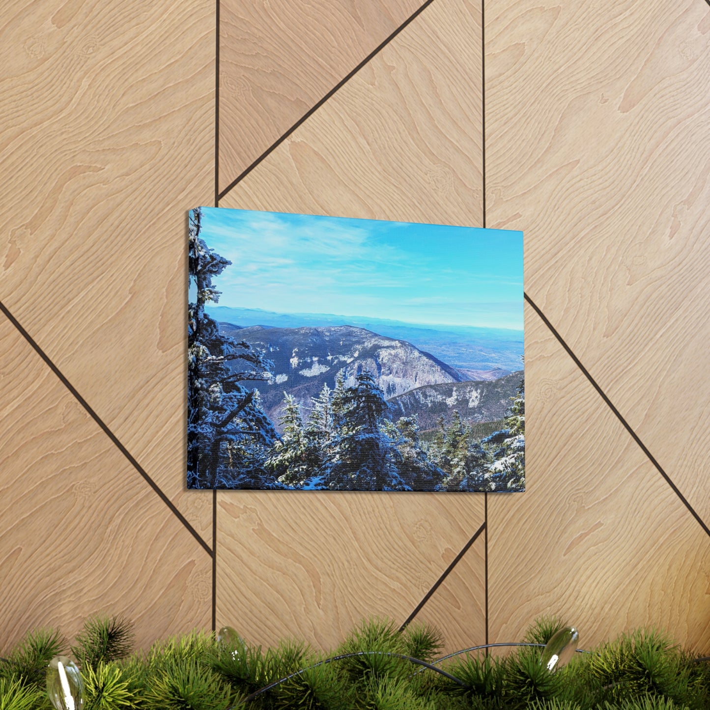 Alpine Zone- Canvas Art Print