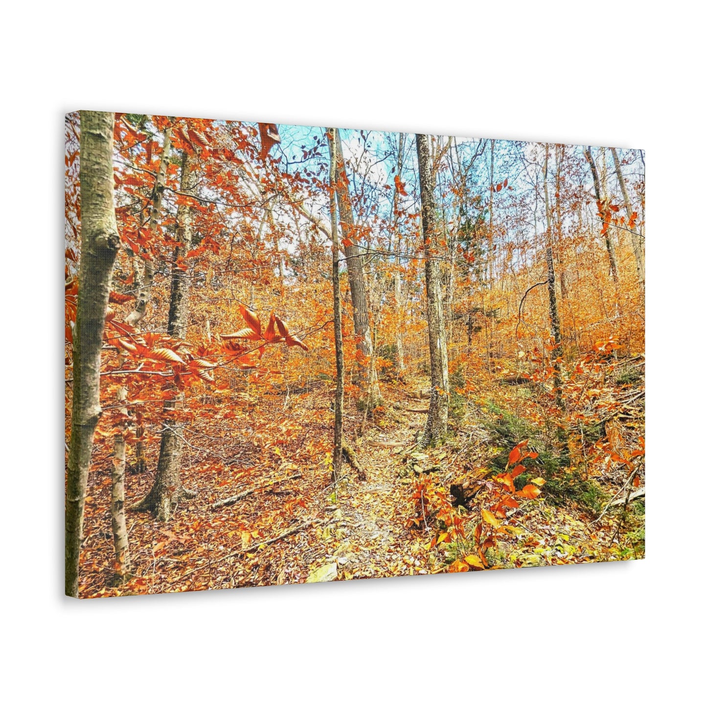 Appalachian Trail Fall Canvas Art Print