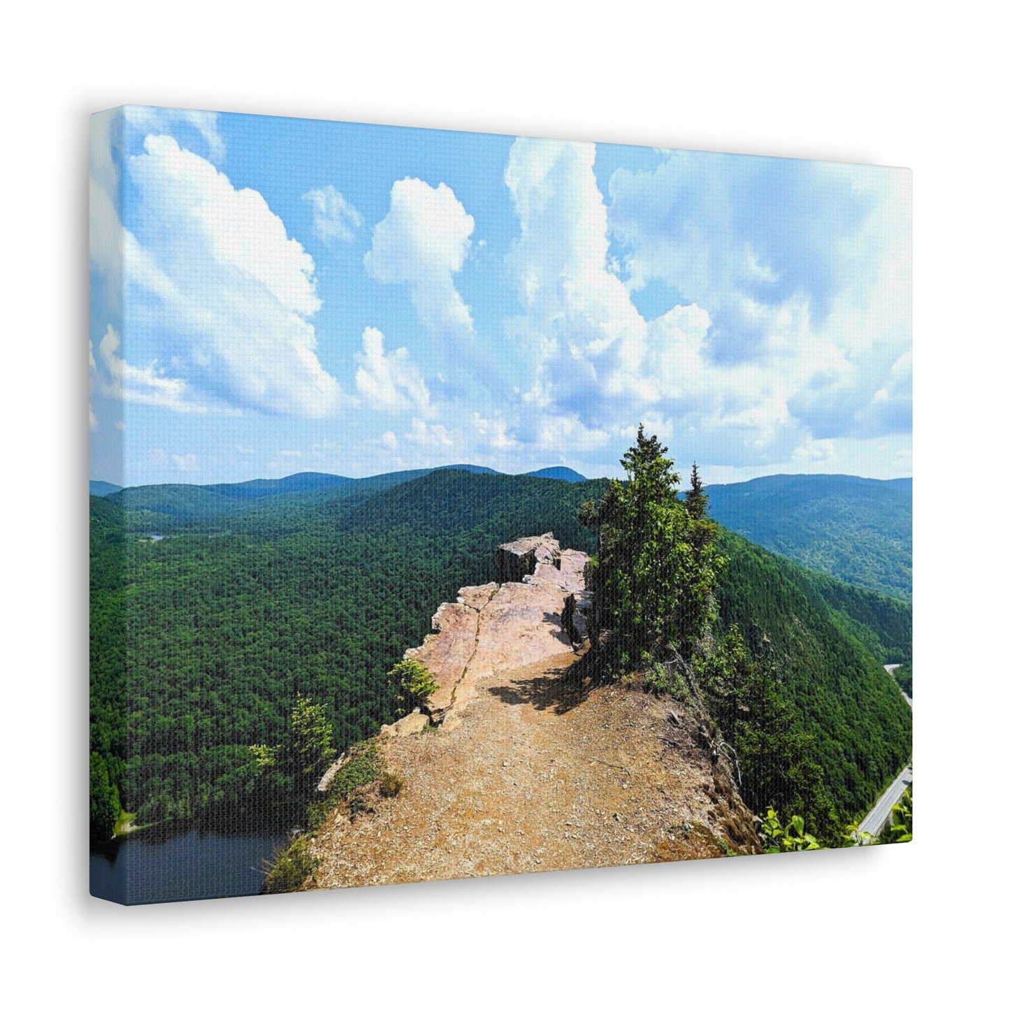 Table Rock Canvas Art Print