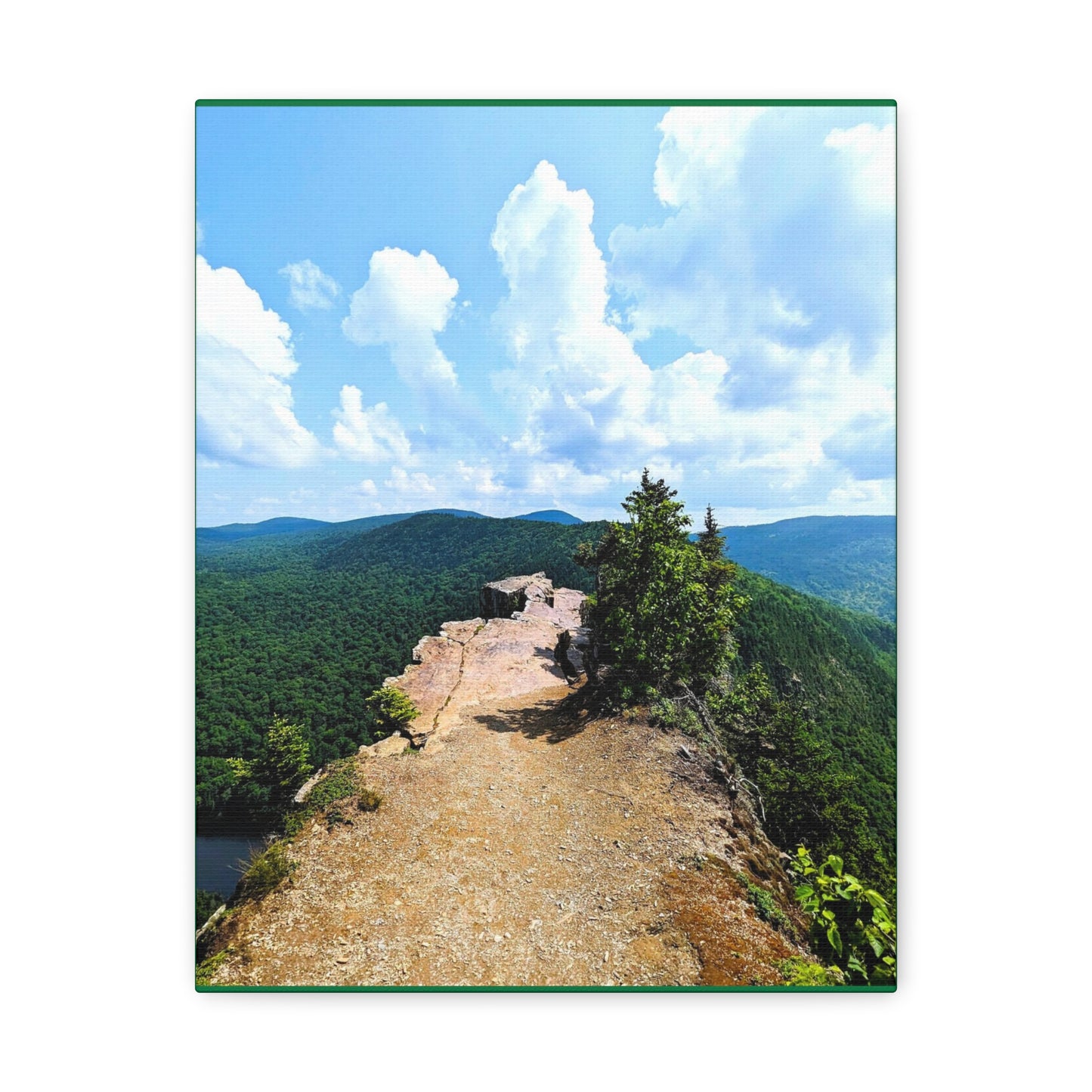 Table Rock Canvas Art Print