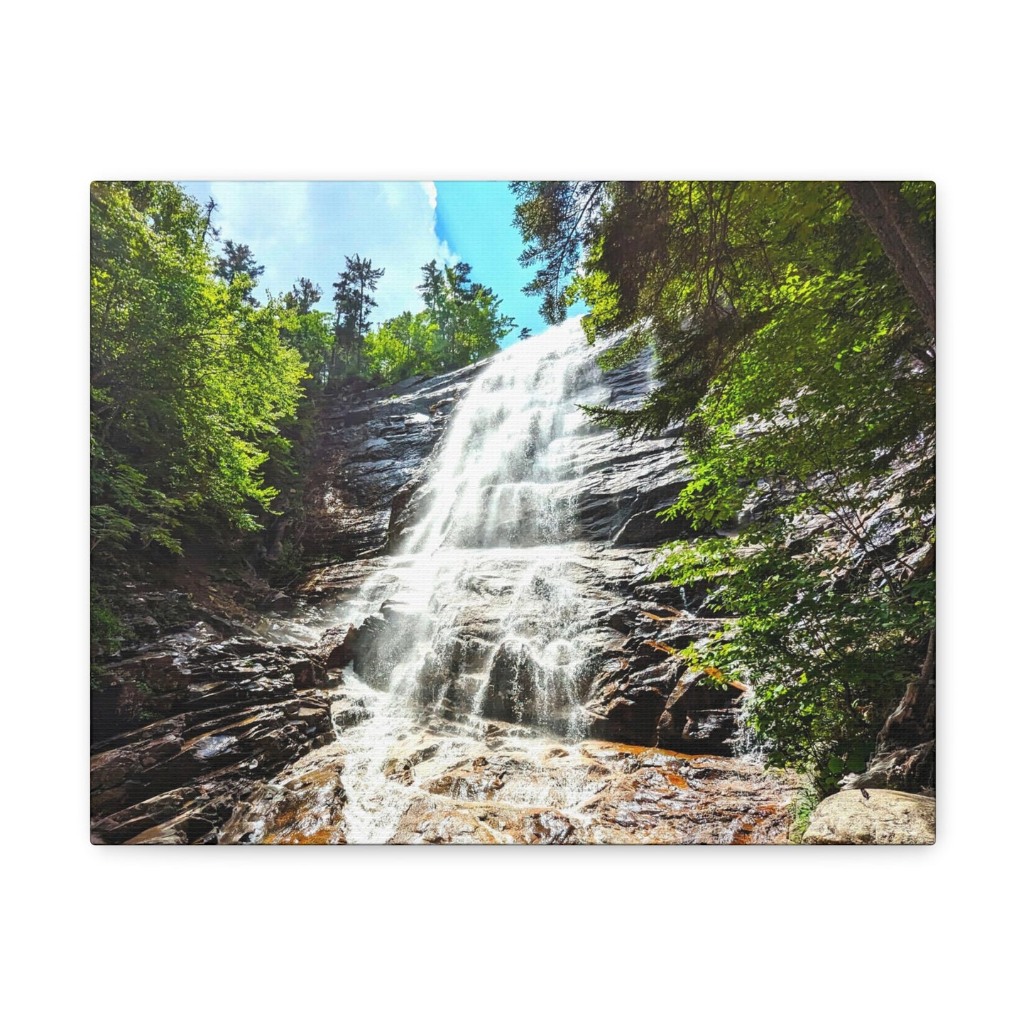 Arethusa Falls Canvas Art Print