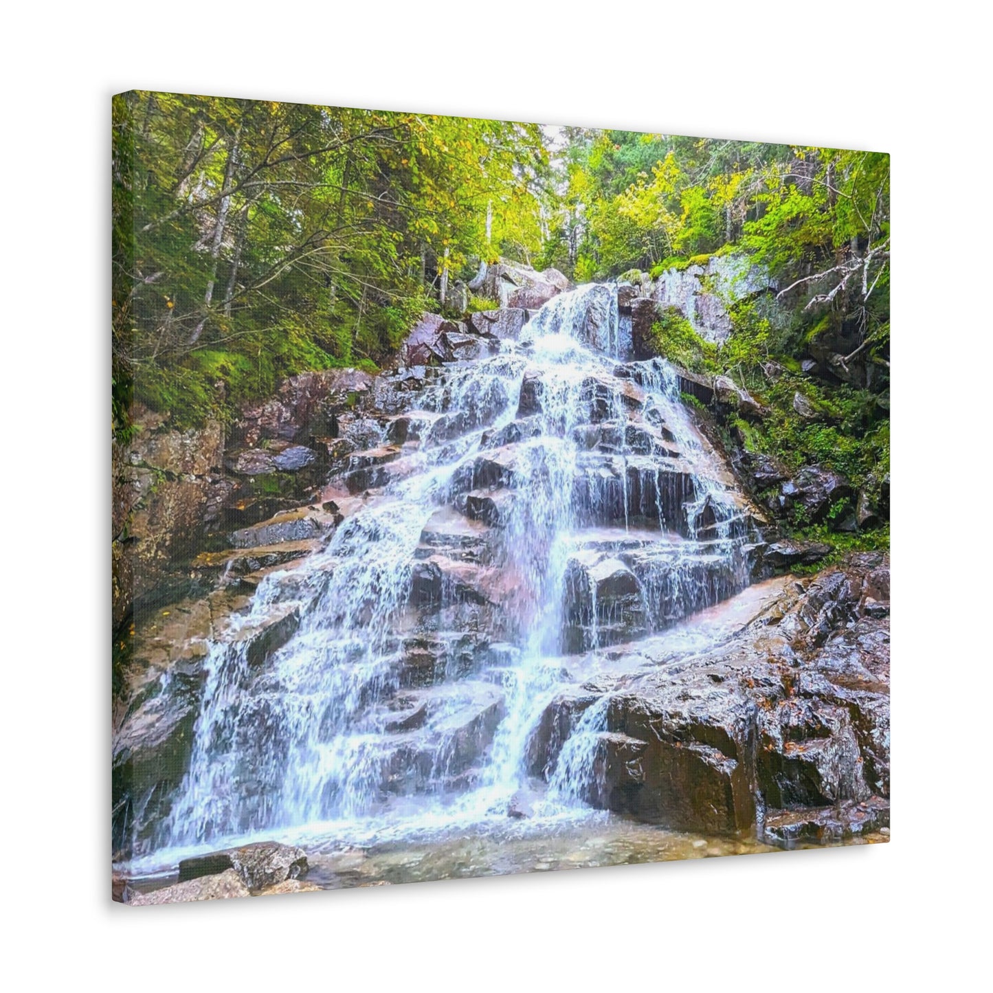 Cloudland Falls Canvas Art Print