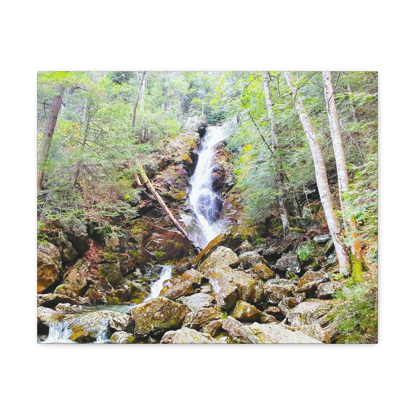 Race Brook Falls Canvas Art Print