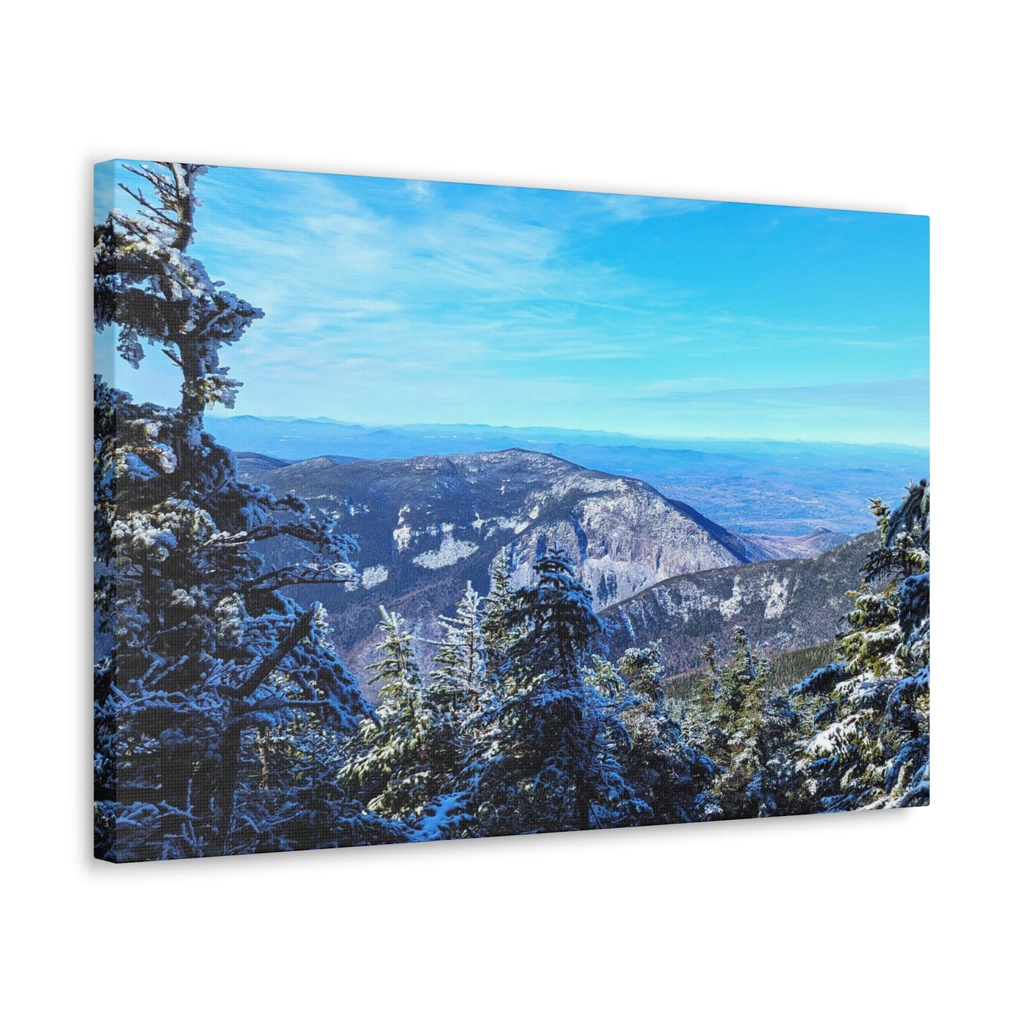 Alpine Zone- Canvas Art Print