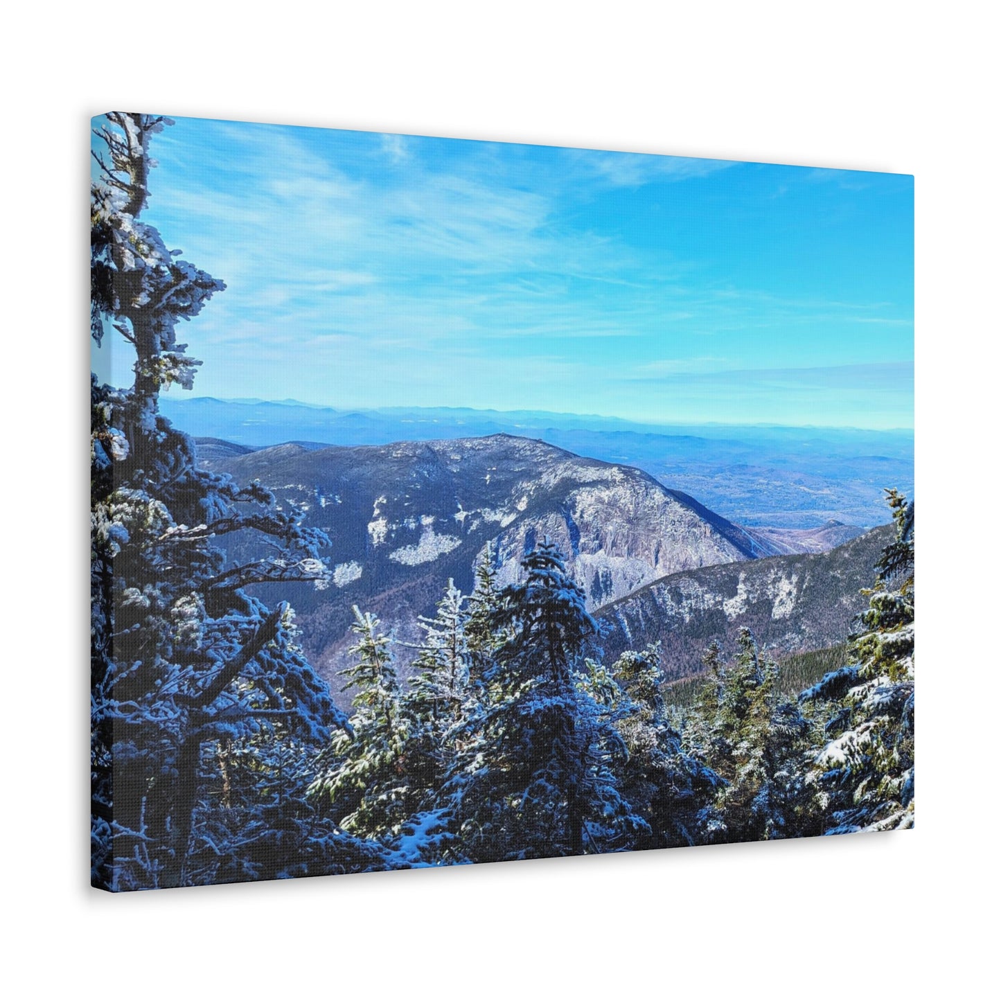 Alpine Zone- Canvas Art Print