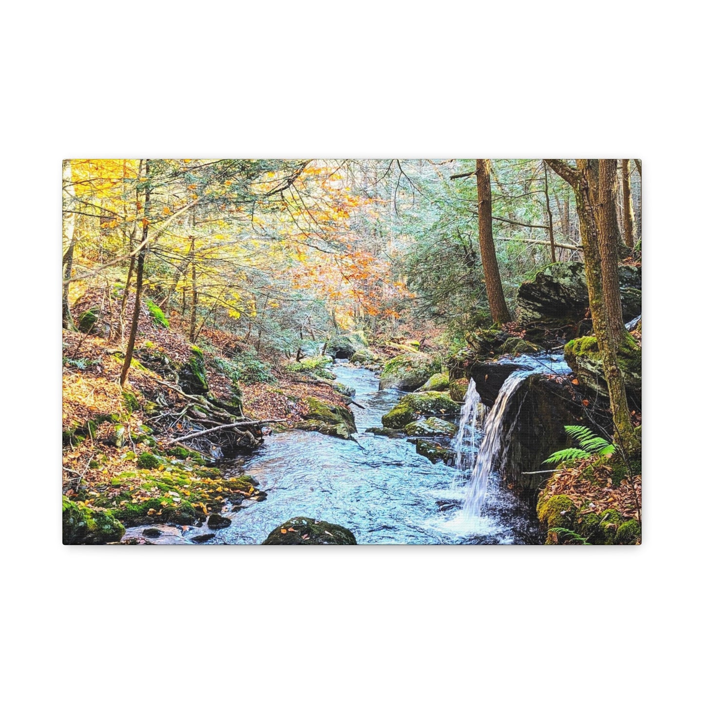 Sage's Ravine Canvas Art Print