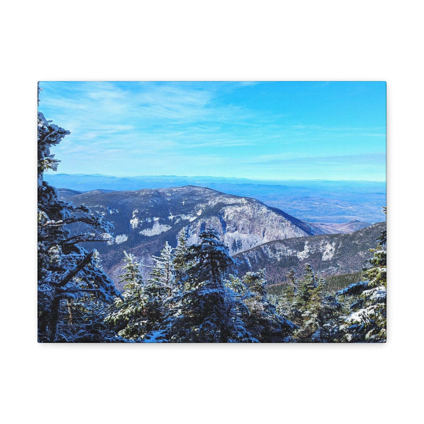 Alpine Zone- Canvas Art Print