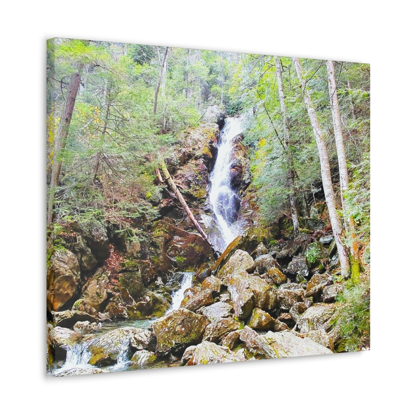 Race Brook Falls Canvas Art Print