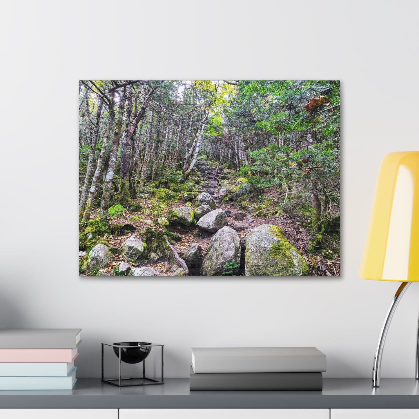 Kinsman Ridge Trail Canvas Art Print