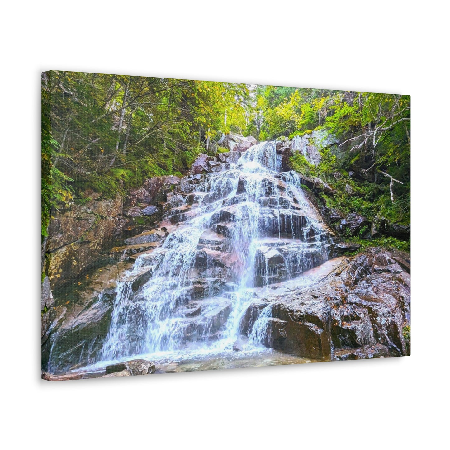 Cloudland Falls Canvas Art Print