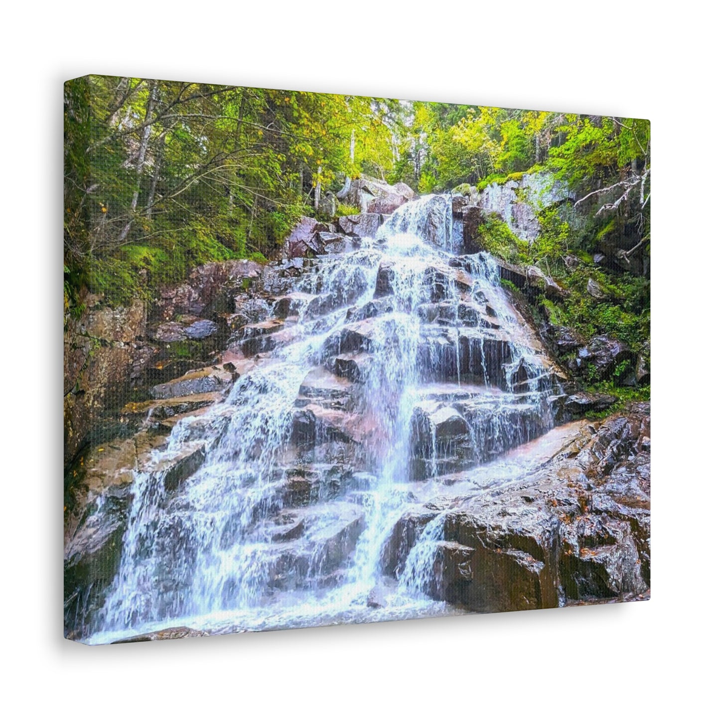 Cloudland Falls Canvas Art Print