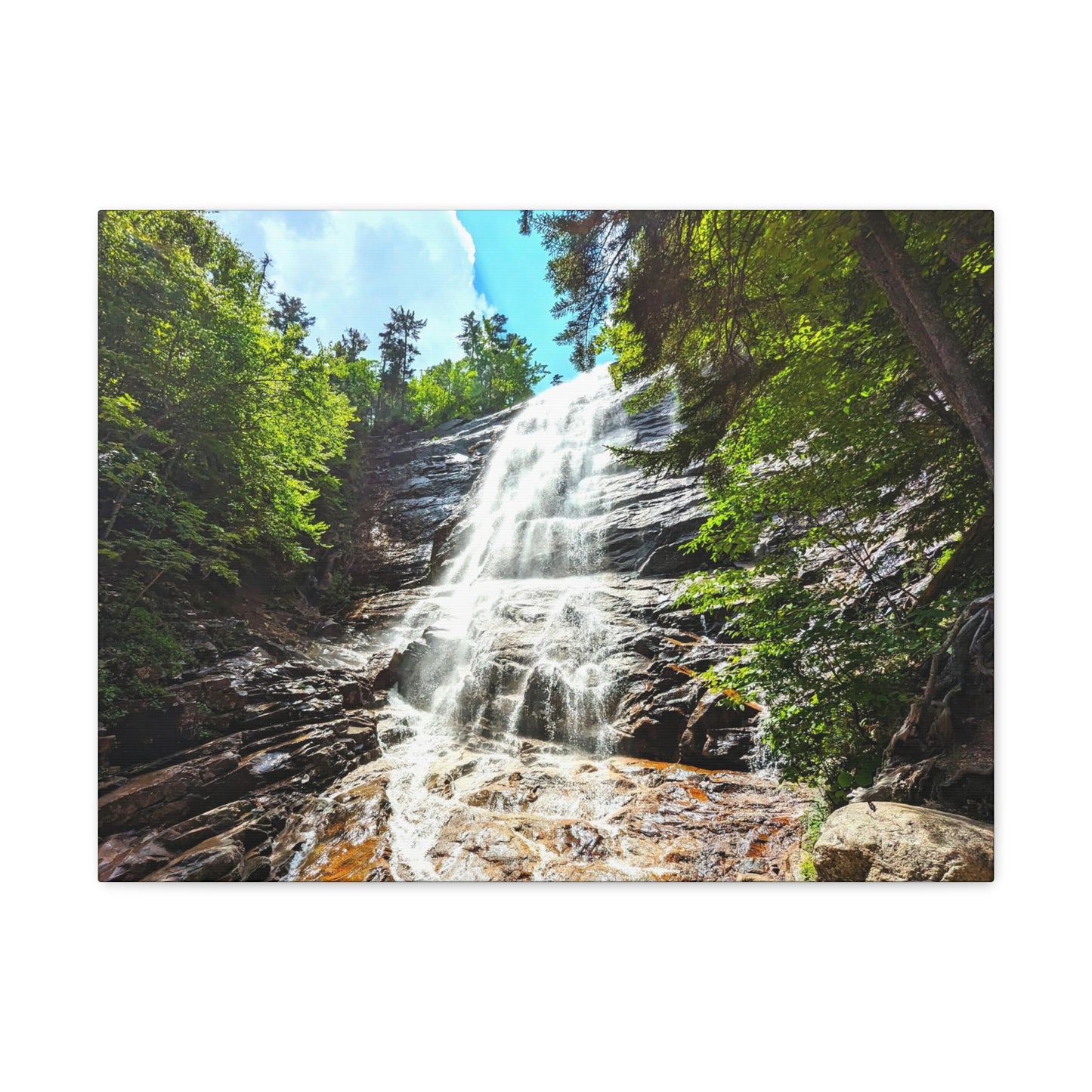 Arethusa Falls Canvas Art Print