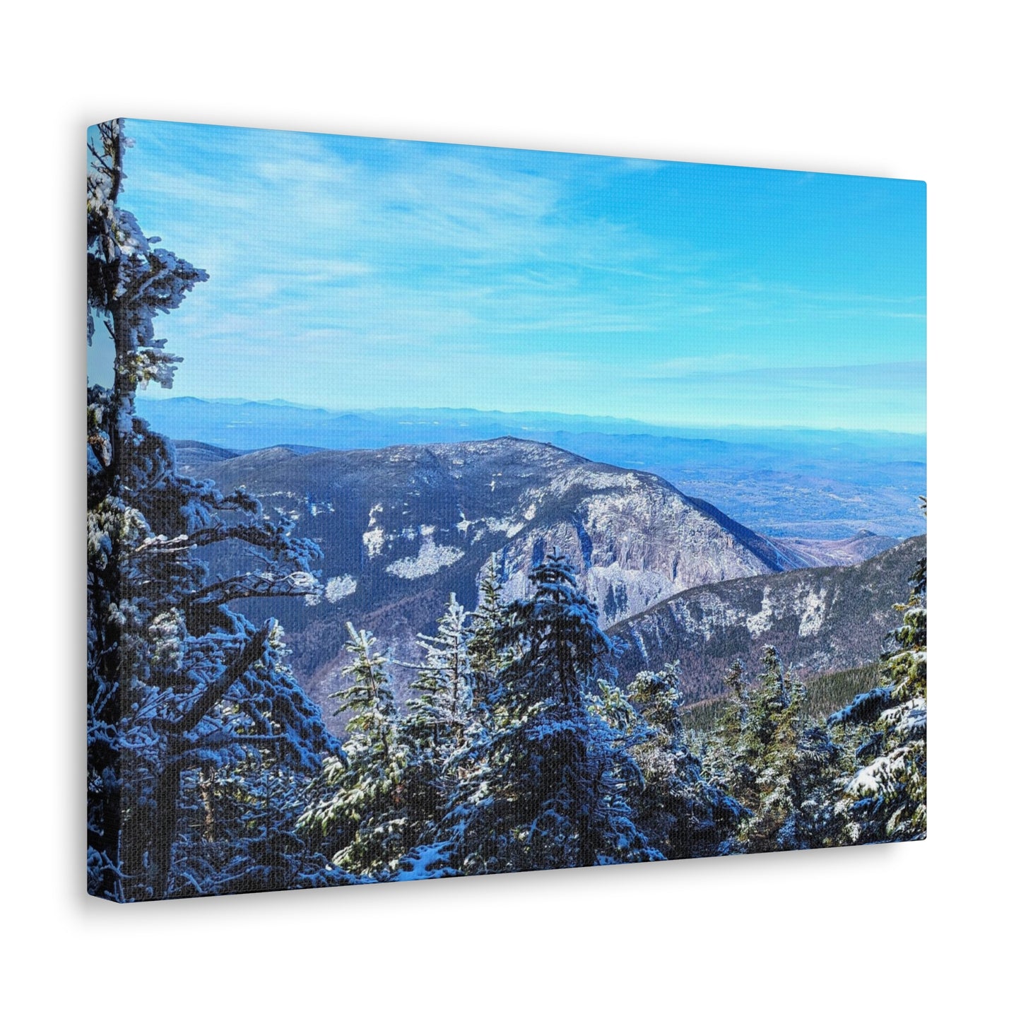 Canvas Artwork Print, Nature Photography