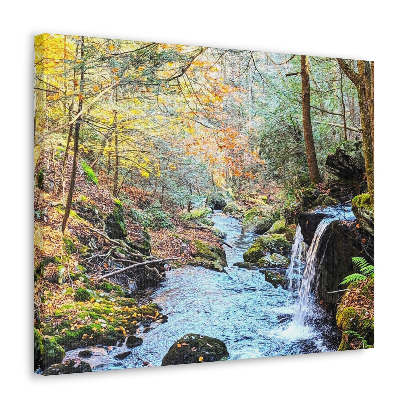 Sage's Ravine Canvas Art Print