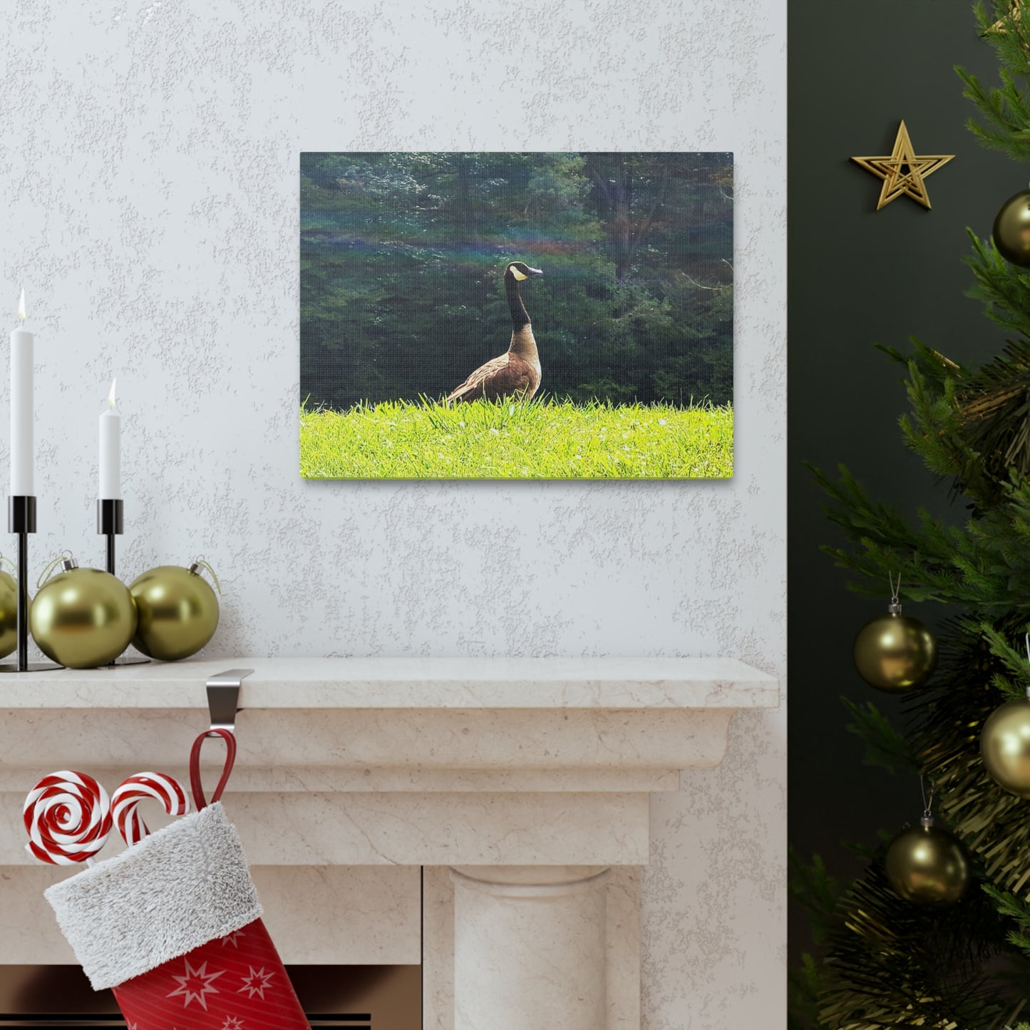 Canadian Goose Canvas Art Print