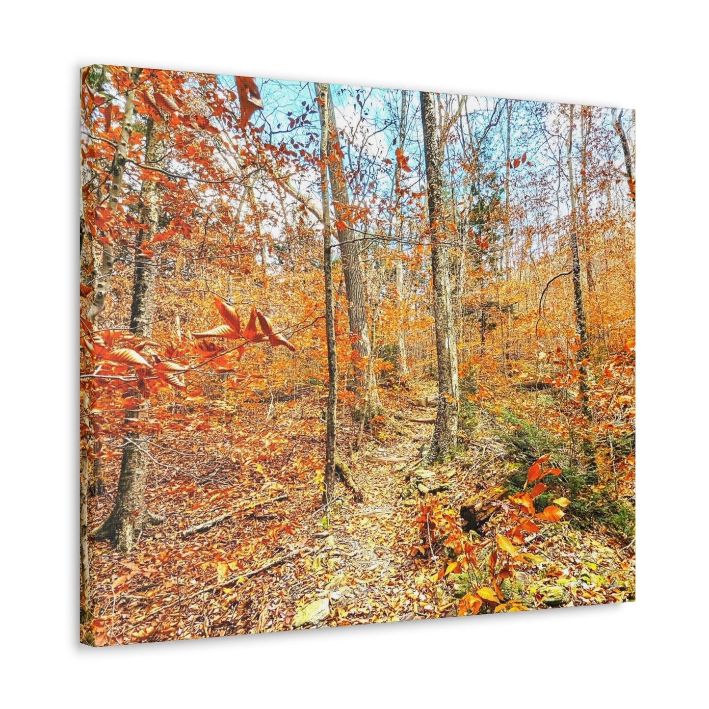 Appalachian Trail Fall Canvas Art Print