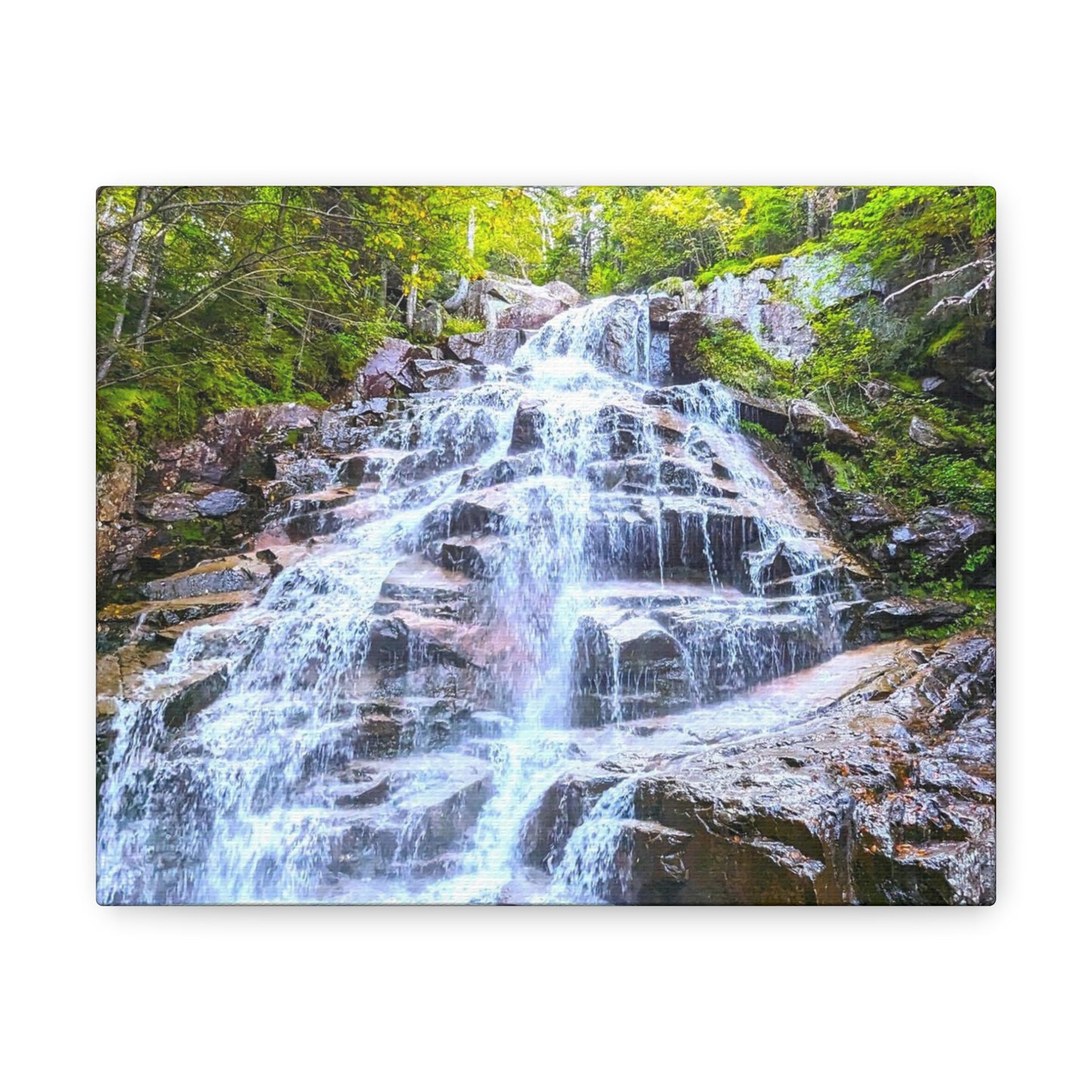 Cloudland Falls Canvas Art Print