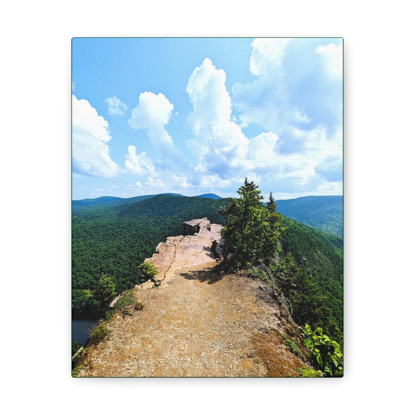 Table Rock Canvas Art Print