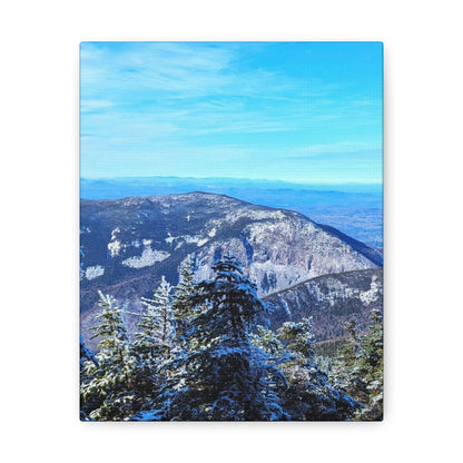 Alpine Zone- Canvas Art Print