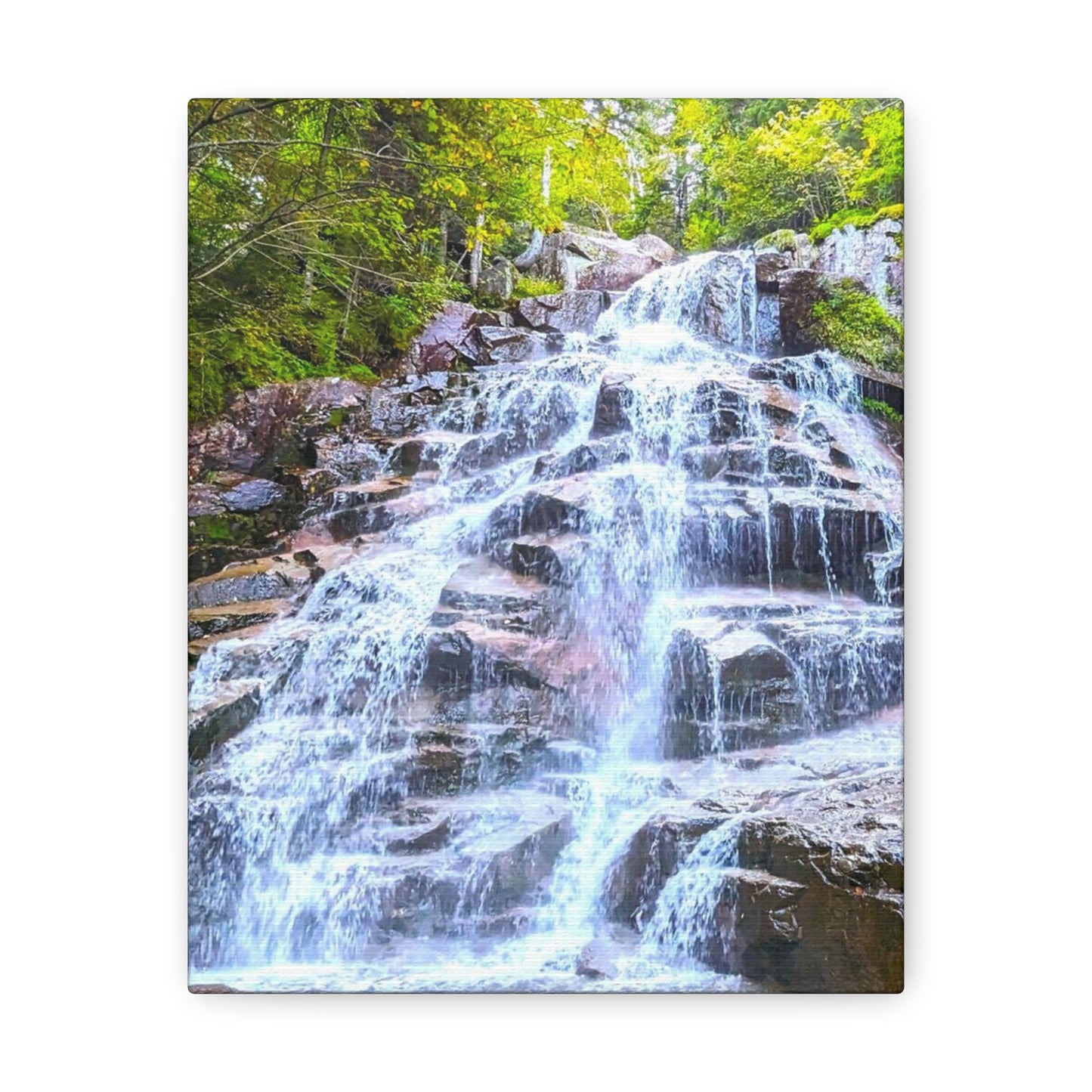 Cloudland Falls Canvas Art Print