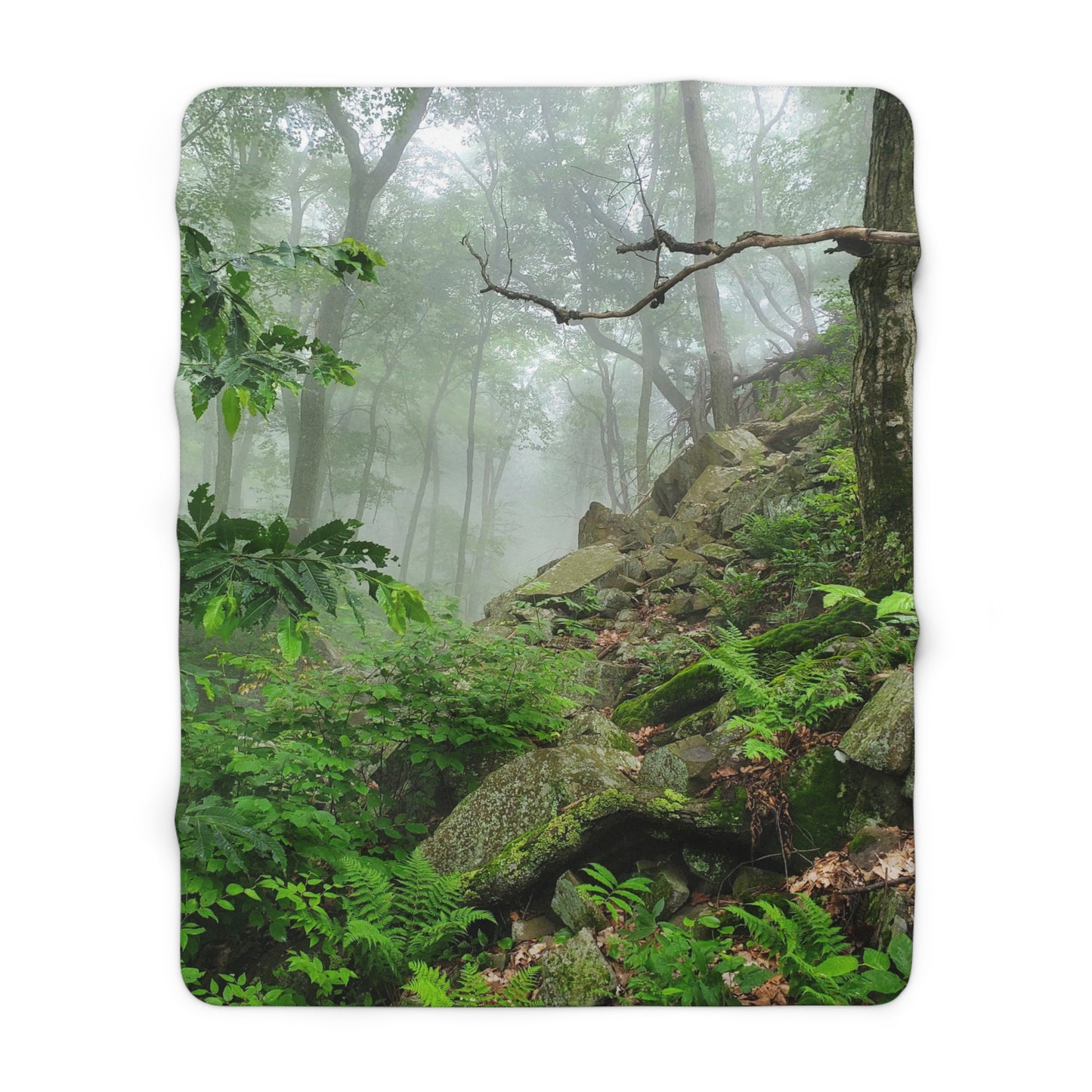 Connecticut Jungle Sherpa Fleece Blanket