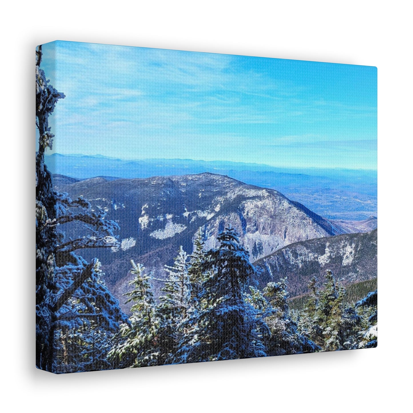 Canvas Artwork Print, Nature Photography