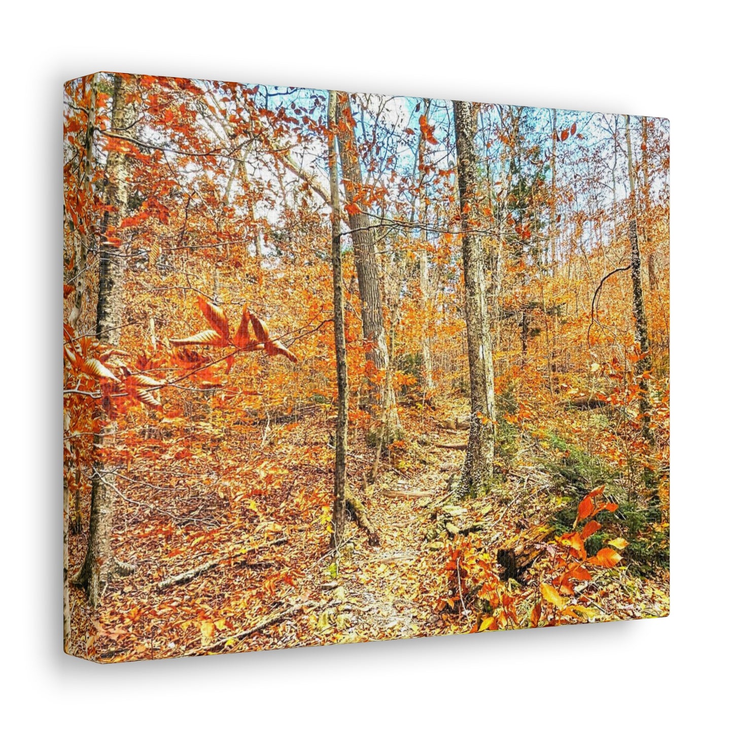 Appalachian Trail Fall Canvas Art Print