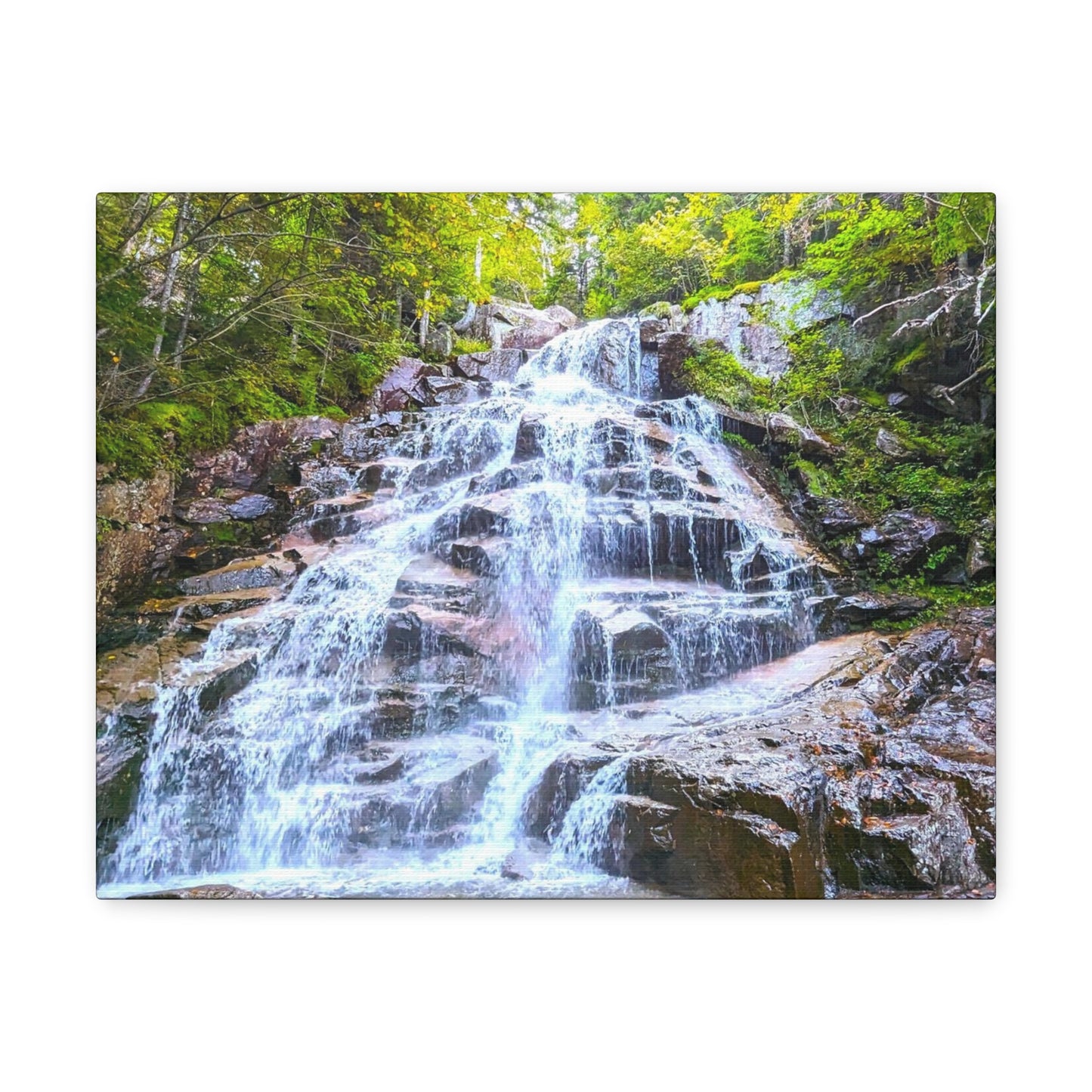 Cloudland Falls Canvas Art Print