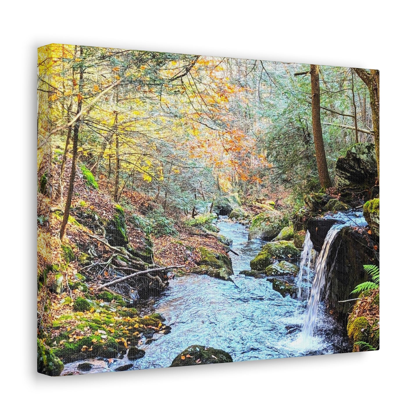 Sage's Ravine Canvas Art Print