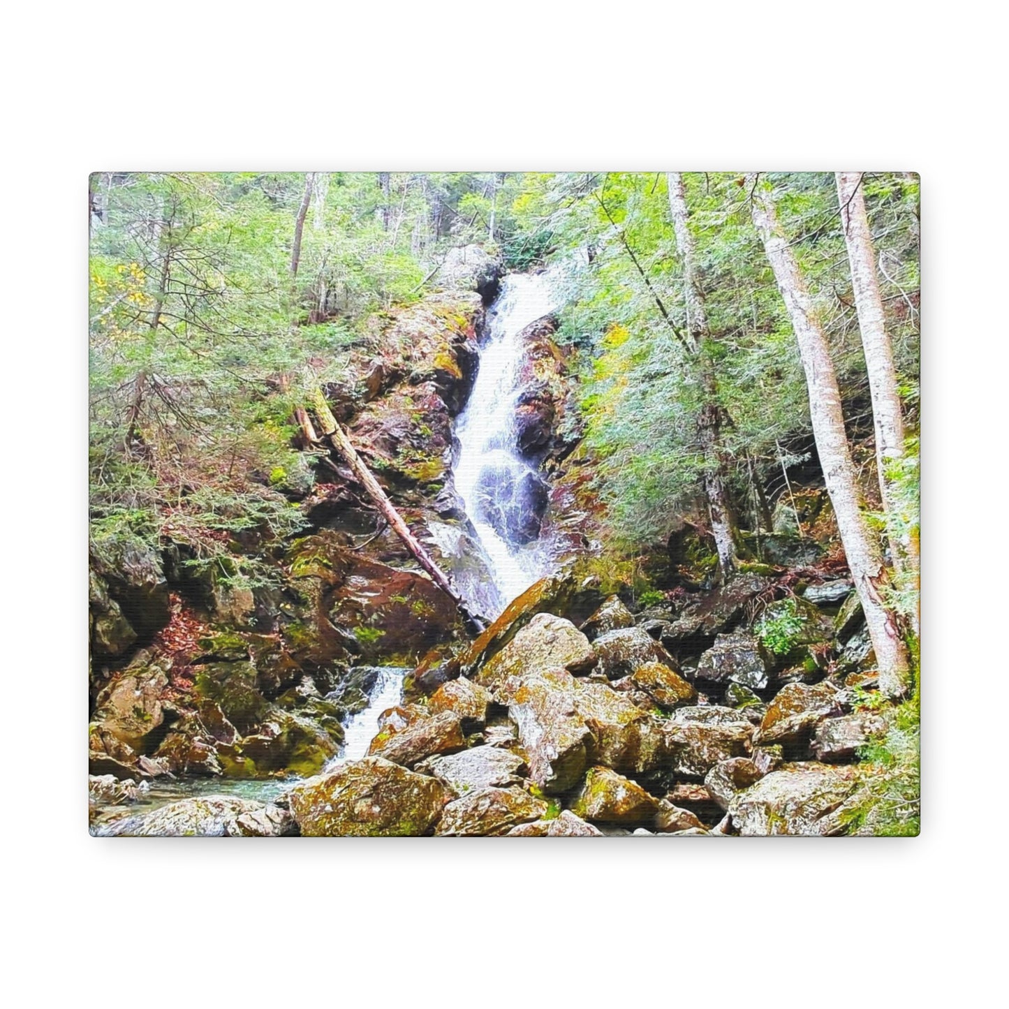Race Brook Falls Canvas Art Print