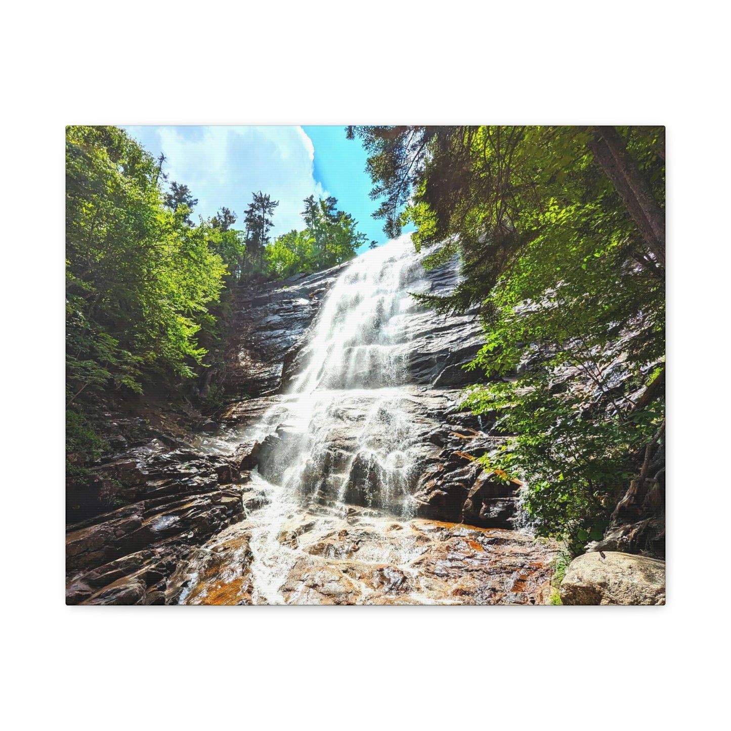 Arethusa Falls Canvas Art Print