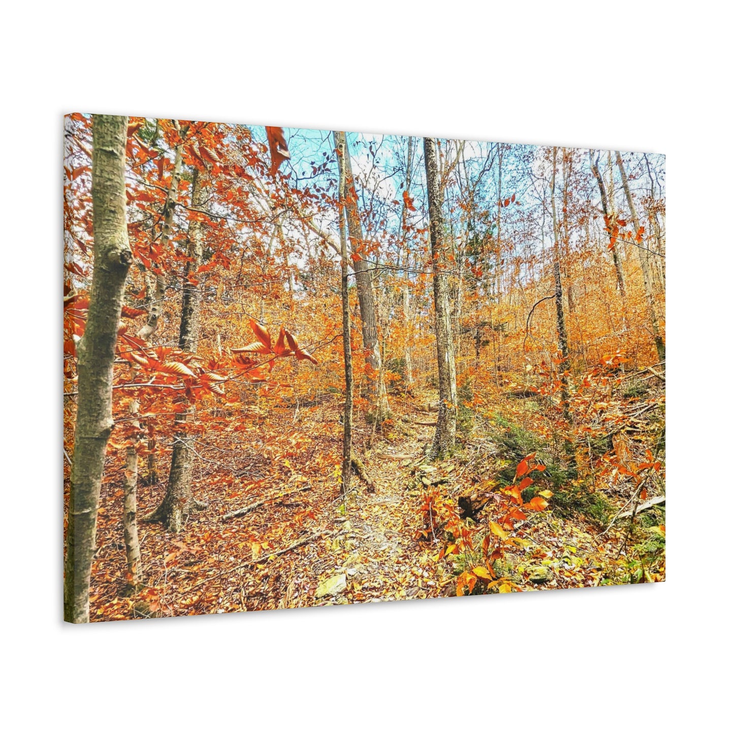 Appalachian Trail Fall Canvas Art Print