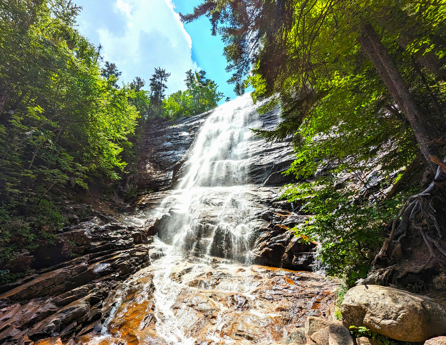 Arethusa Falls Canvas Art Print