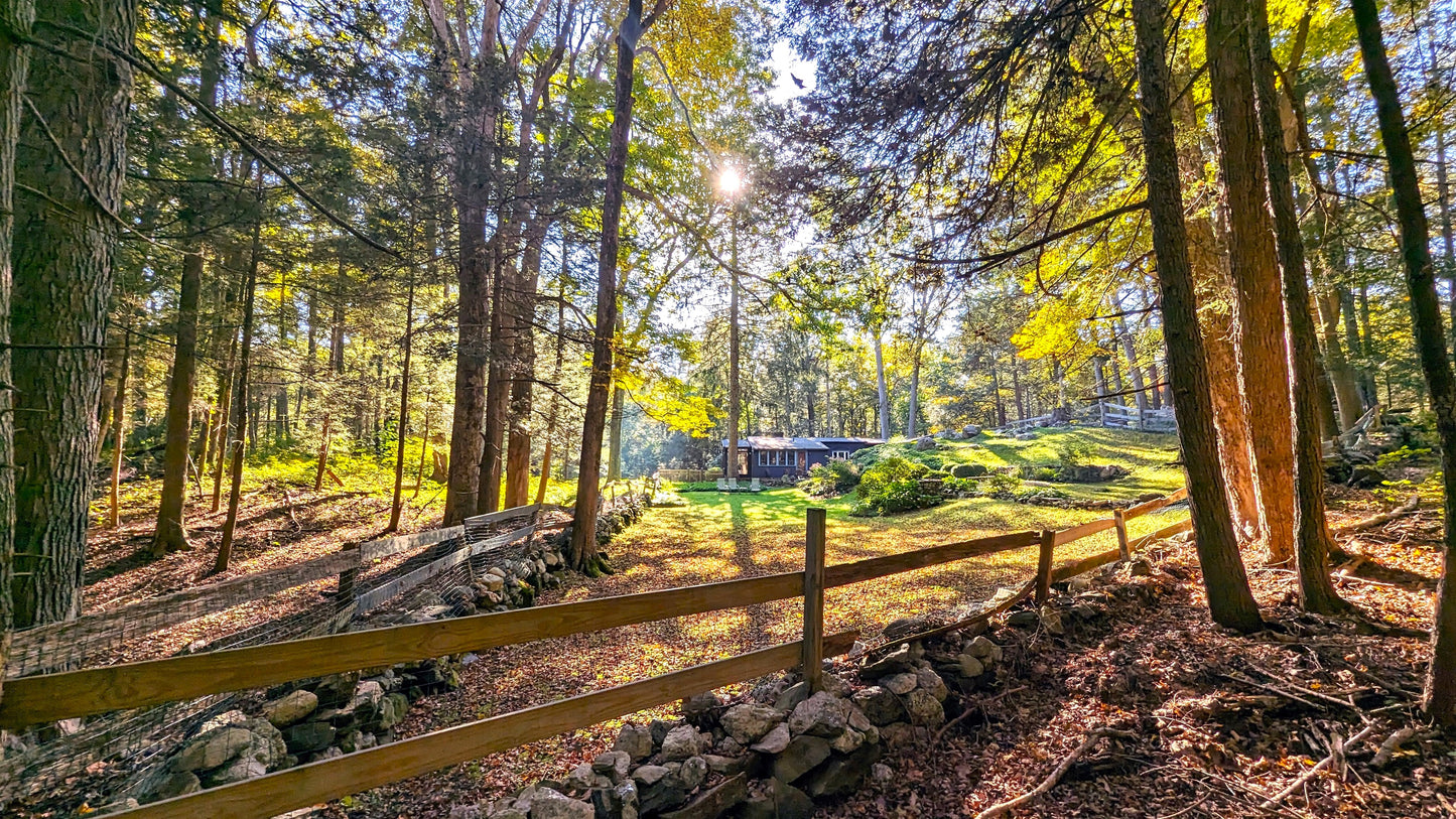 New England Homestead Canvas Art Print